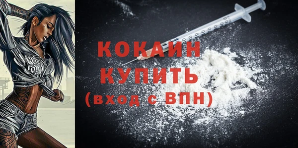 молекула духа Снежинск