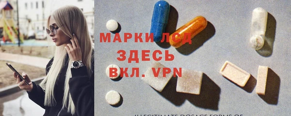 стаф Алзамай